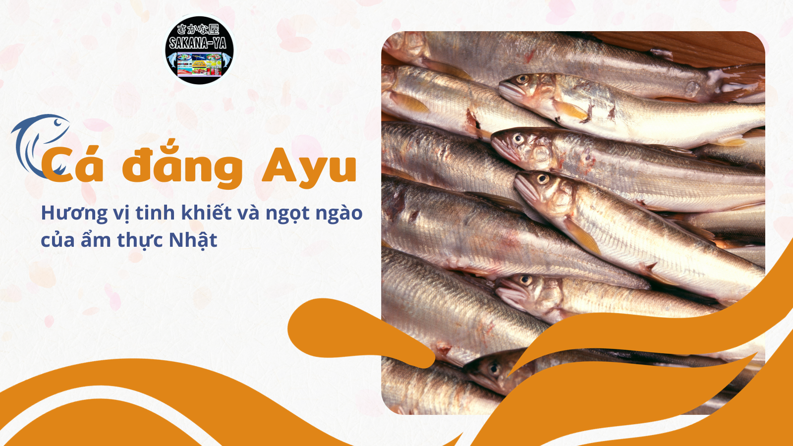 Cá đắng Ayu Nhật và các cách chế biến cá đắng ngon nhất 